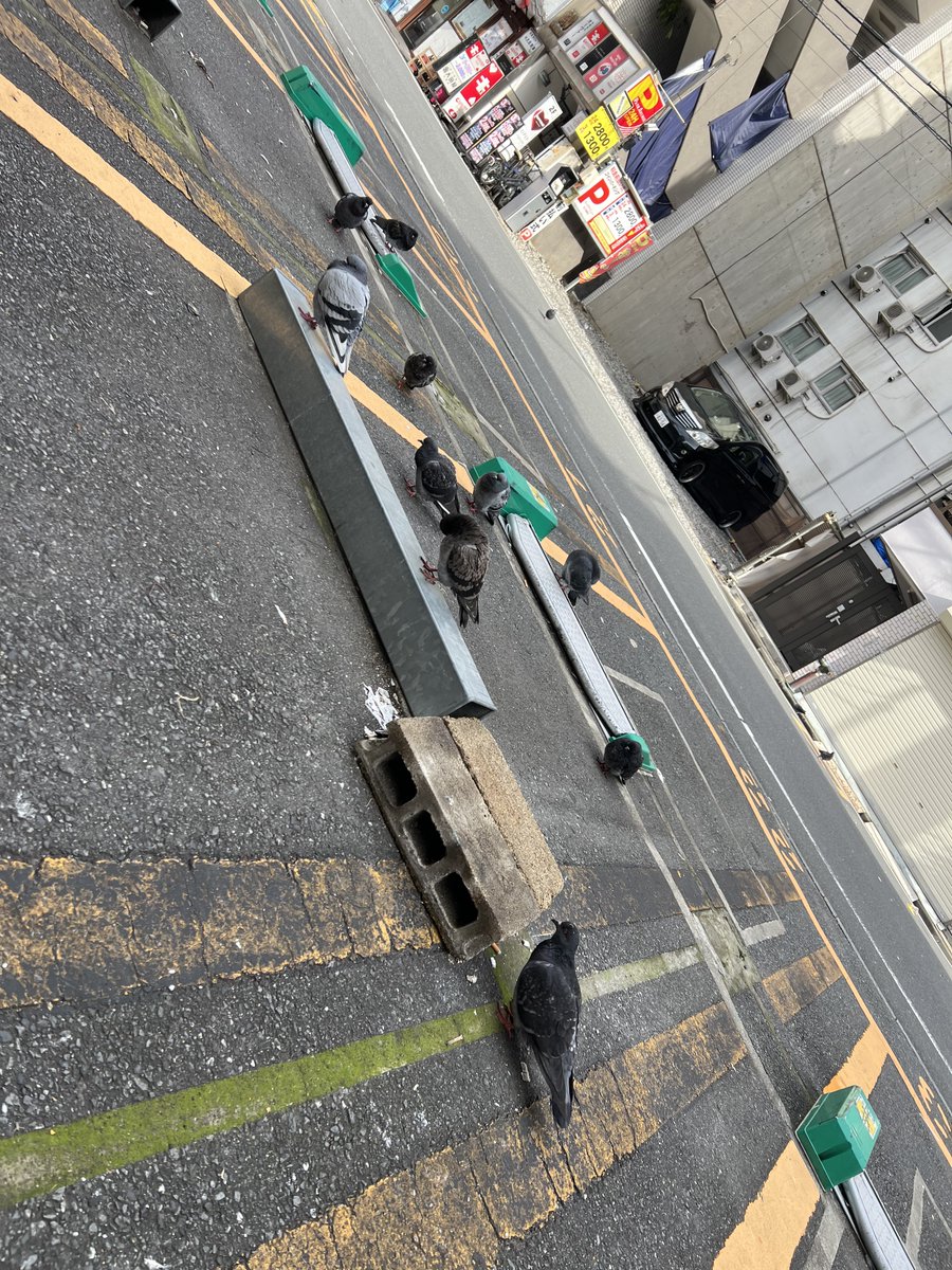 チェックインしました