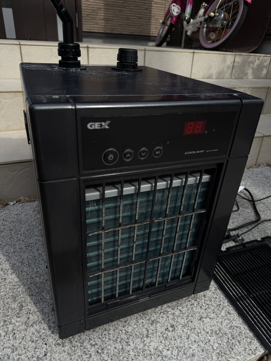 mitsu (@mitsu390) / Posts / X