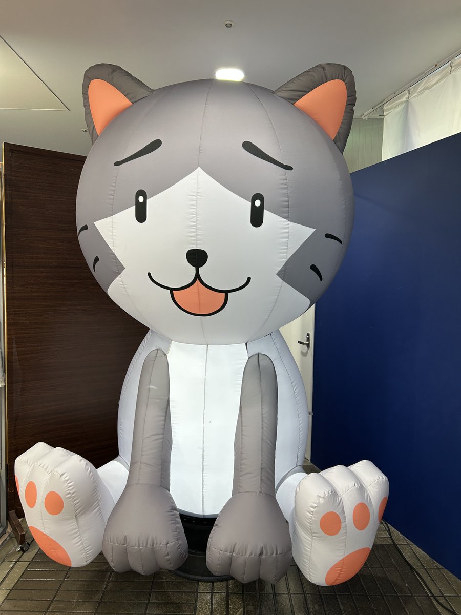 紅のねこ (@nekobuta33) / Posts / X