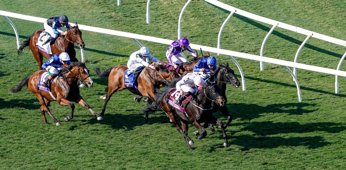 Sixth-place jockey Christophe Soumillion (Mini Hauk (IRE)) – “She never really settled, and when I asked her to take some blows, she never took it. So I think she just over-raced today....She was trying to go a bit early."