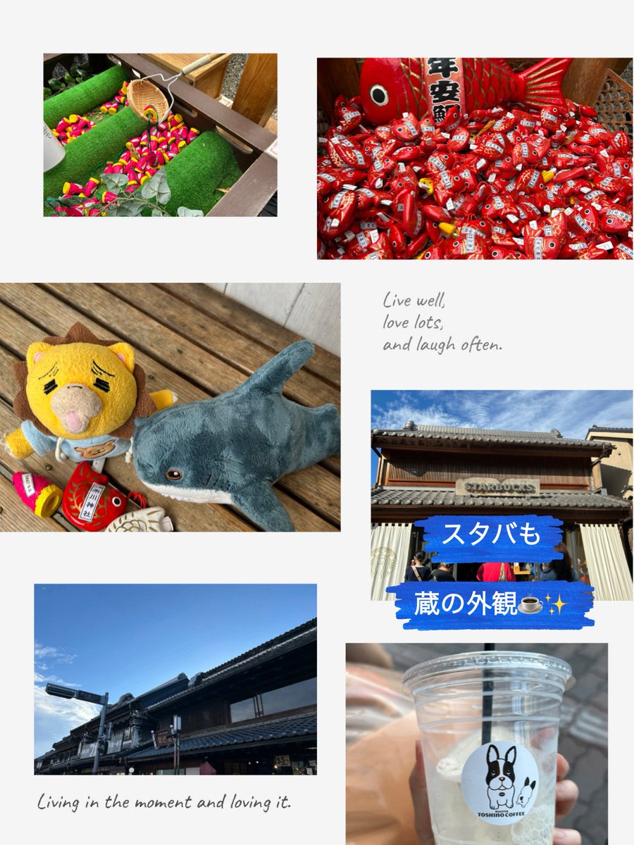 もっちー🟢 on X