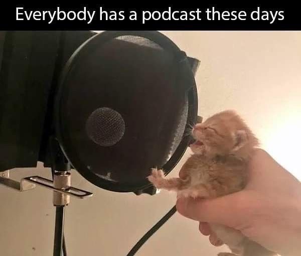 PunchingCat tweet picture