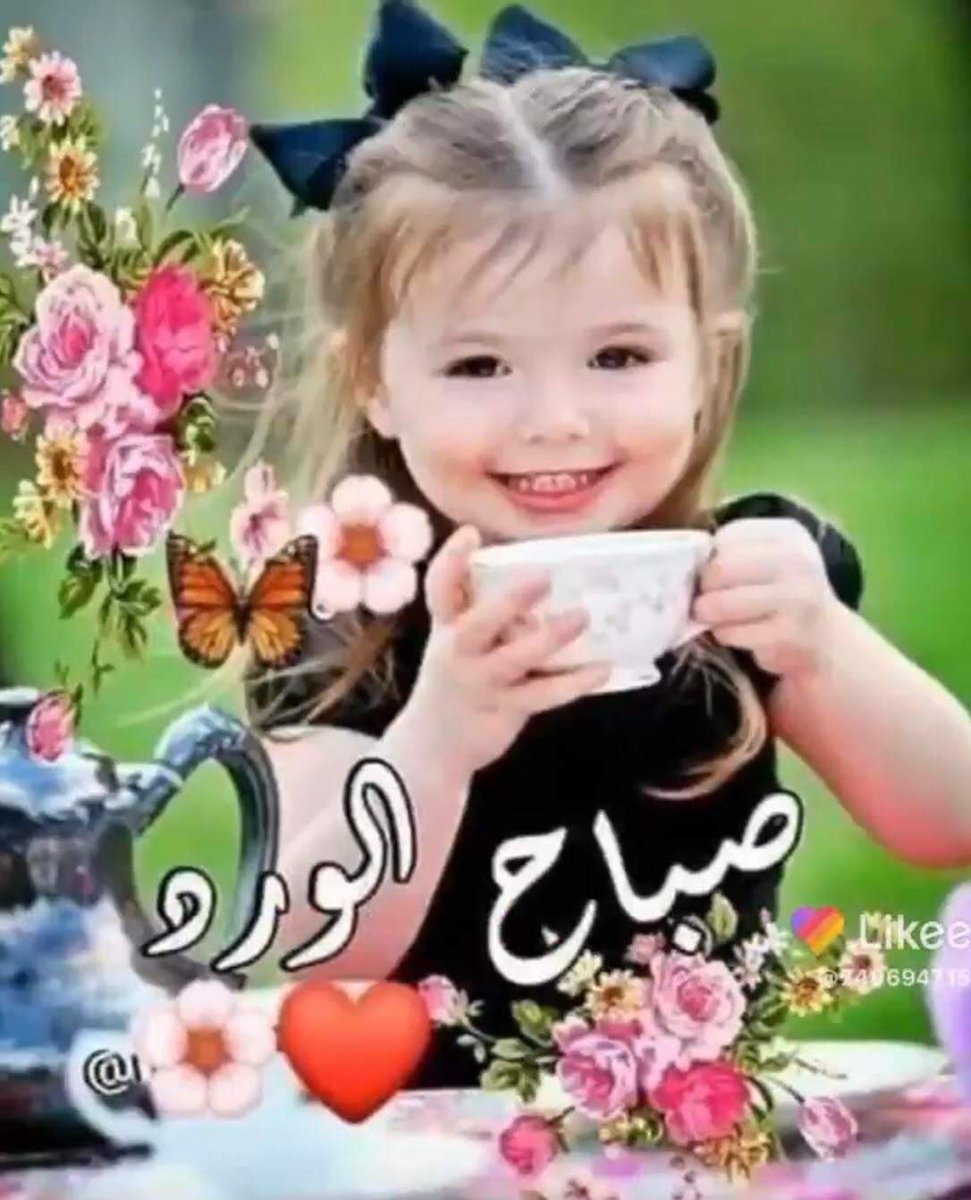 دائماً مع إشراق صباح جديد تأتى معه إشراقة أمل ... إمنحوا الصباح إبتسامة من القلب ليعكس جماله على يومكم ... صباحكم إشراقة أمل .
💛🧡❤️