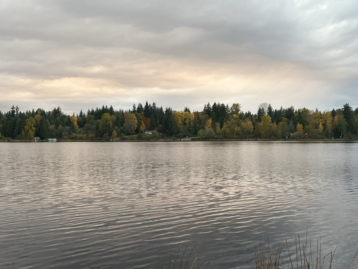 a saturday night reflection

a storm is rolling in

PS I’m gonna get wet… 😬