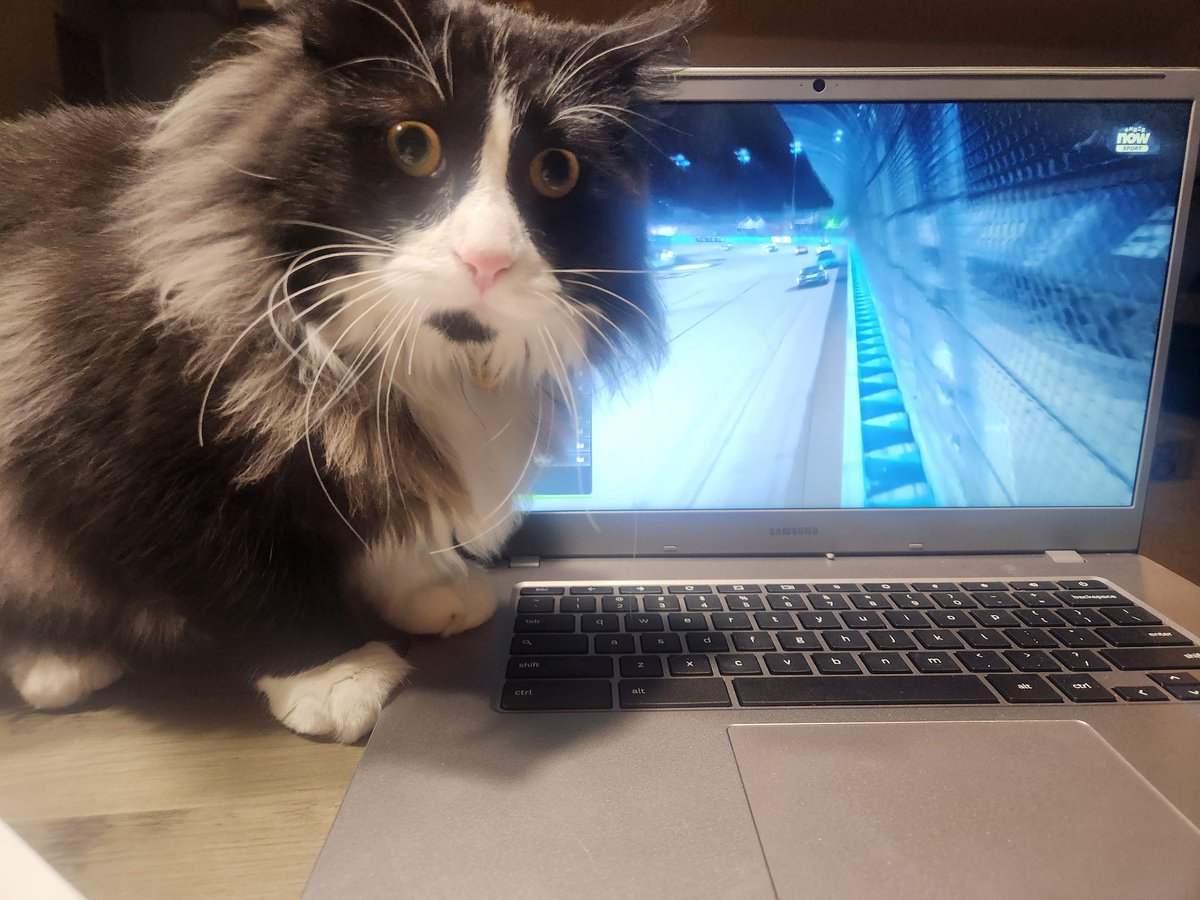 RotoDoc's tweet image. Kurt watching the @NASCAR_Xfinity finale