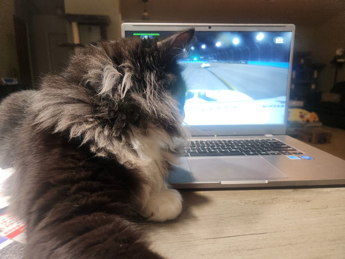 RotoDoc's tweet image. Kurt watching the @NASCAR_Xfinity finale