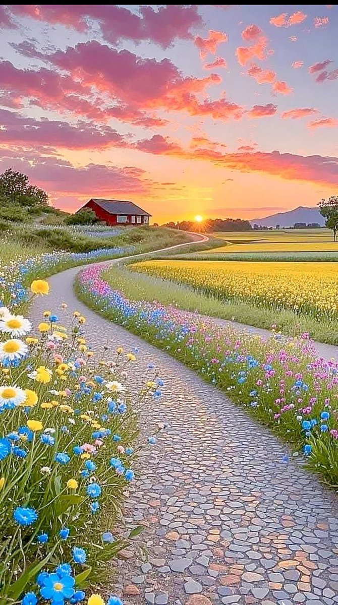 أحيانًا نحتاج إلى نافذة صمت،
نهرب منها إلى أنفسنا،
ونرتّب فوضى الروح بصوتٍ خافت.

#صباح_الخير
#صباح_الأشياء_المُشرقة