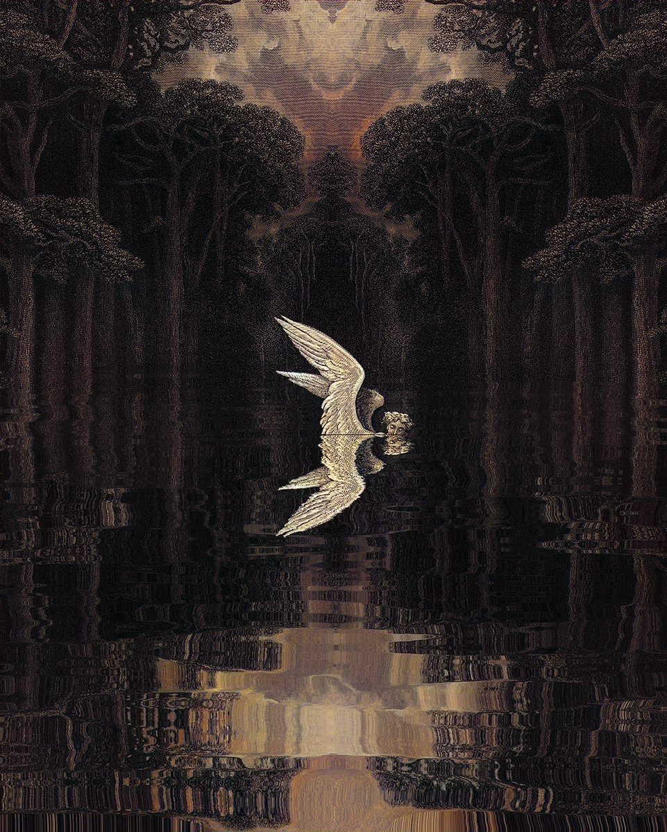 花梨 (@karin5858) / Posts / X