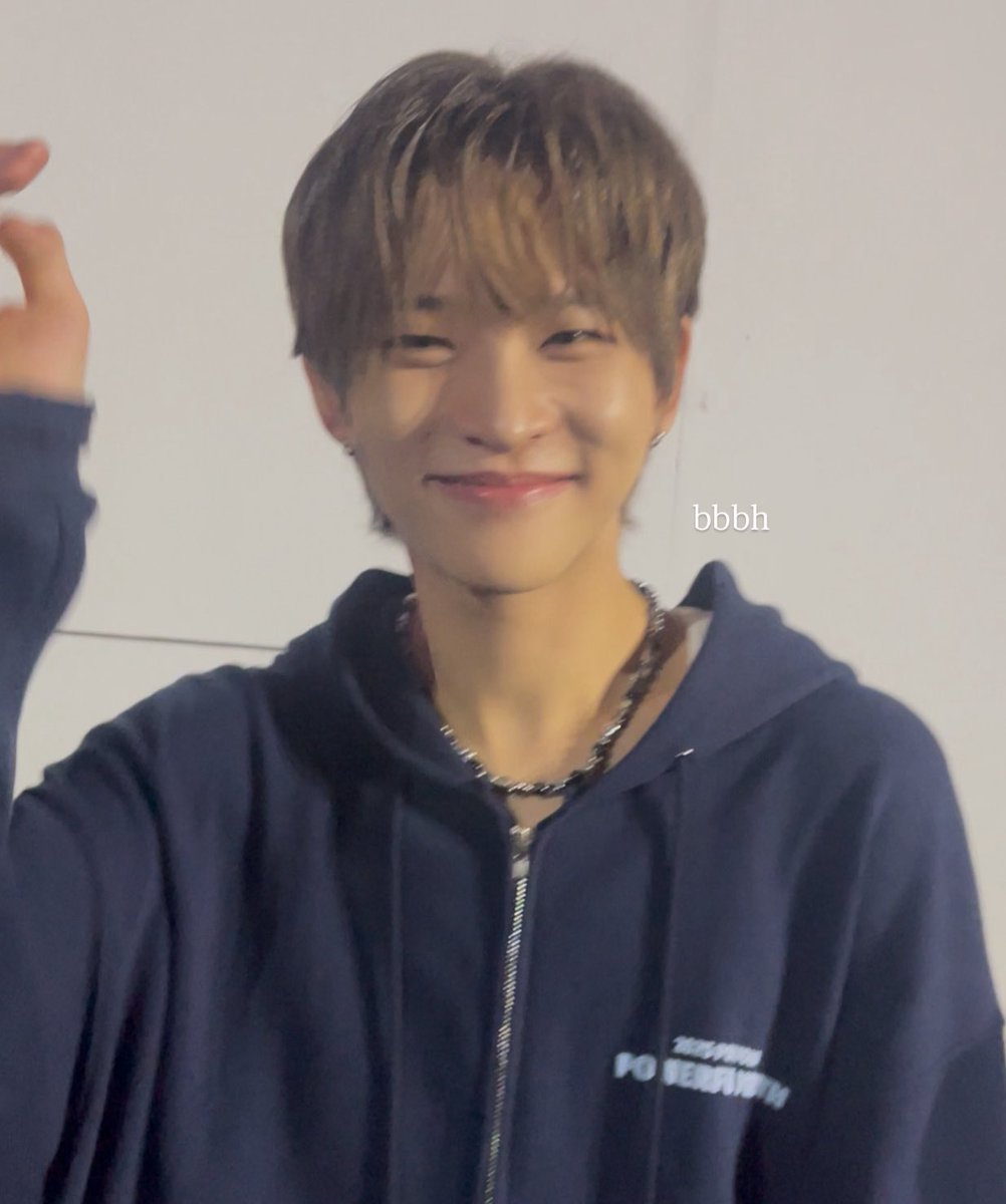 เราเจอแมว ㅠ