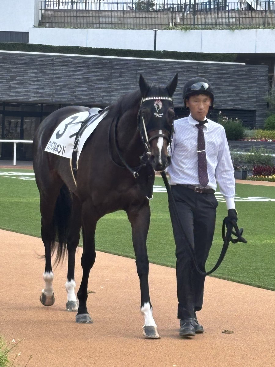 naba-hirap tweet media