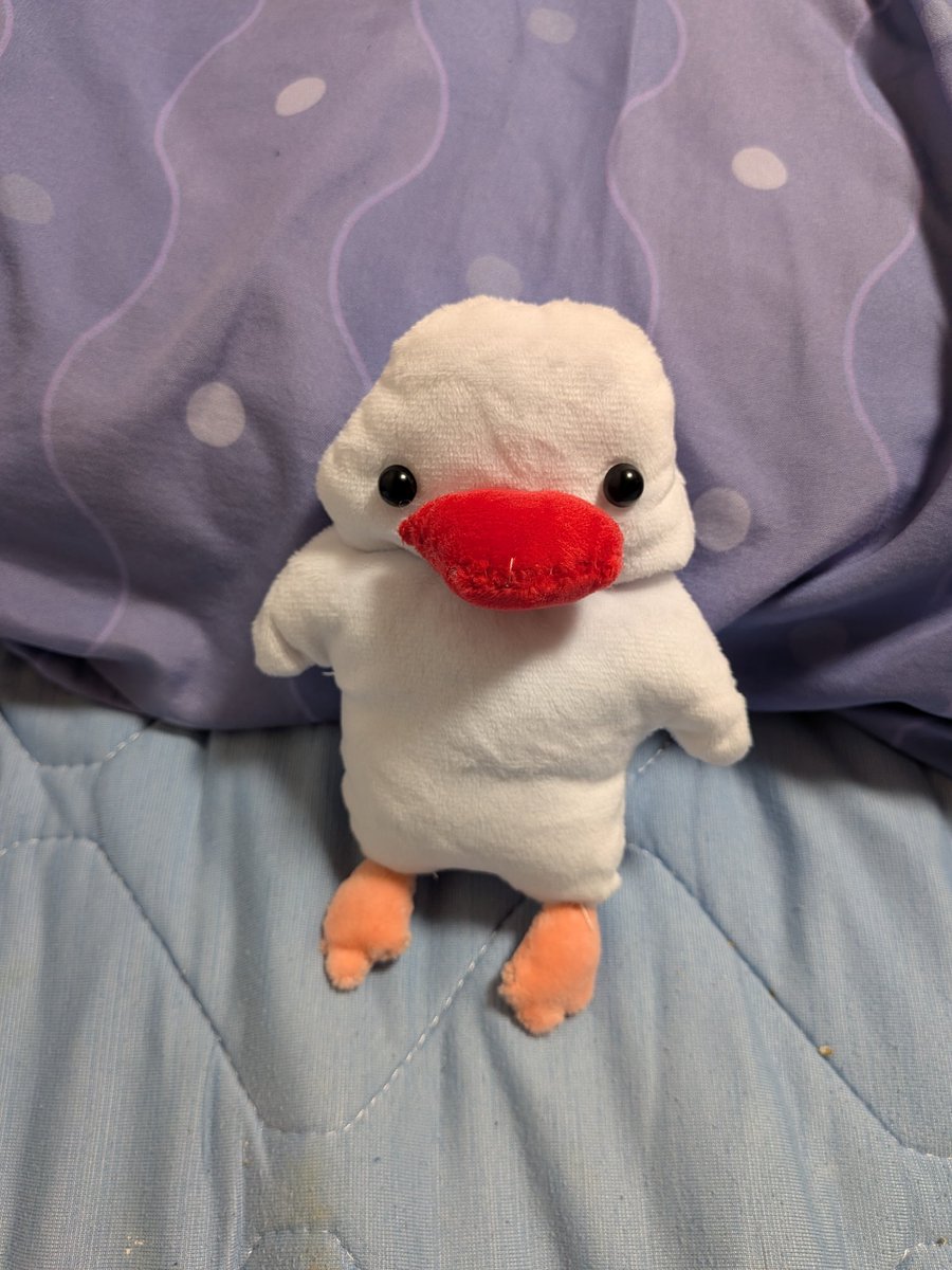 新作☆春夏もこもこシュシュ☆第7段☆archiFURFURca4la 新作☆春夏