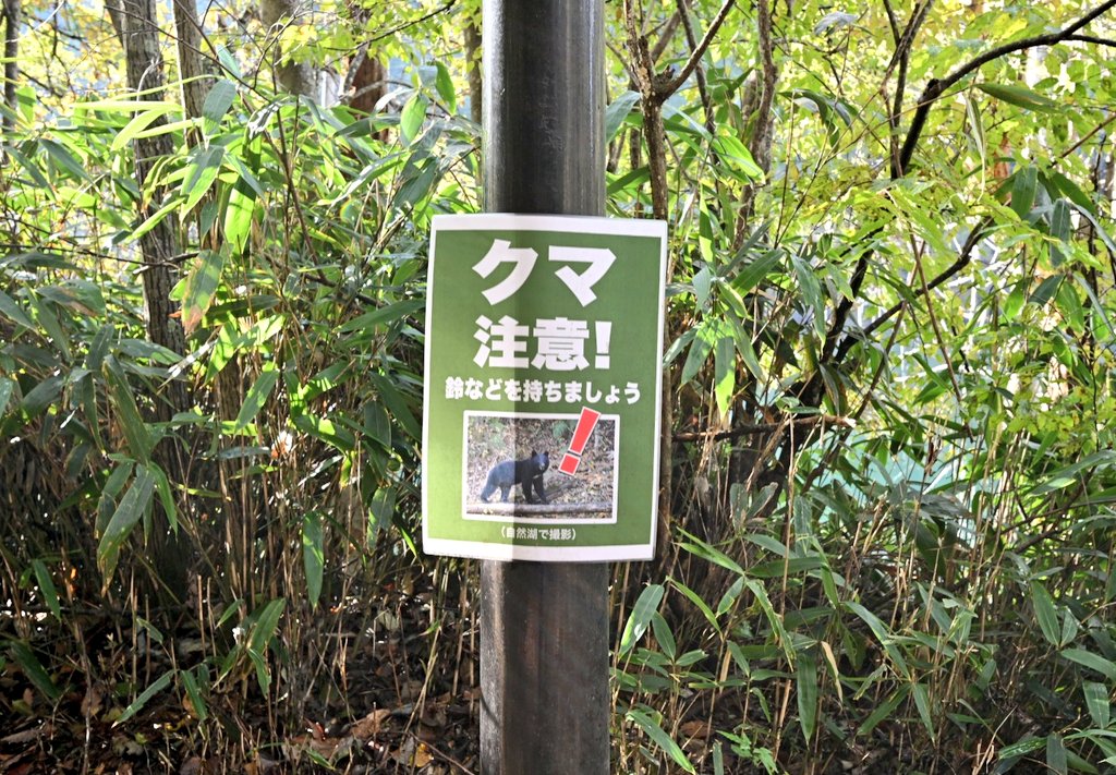 ひろりん (@hiroring0323) / Posts / X