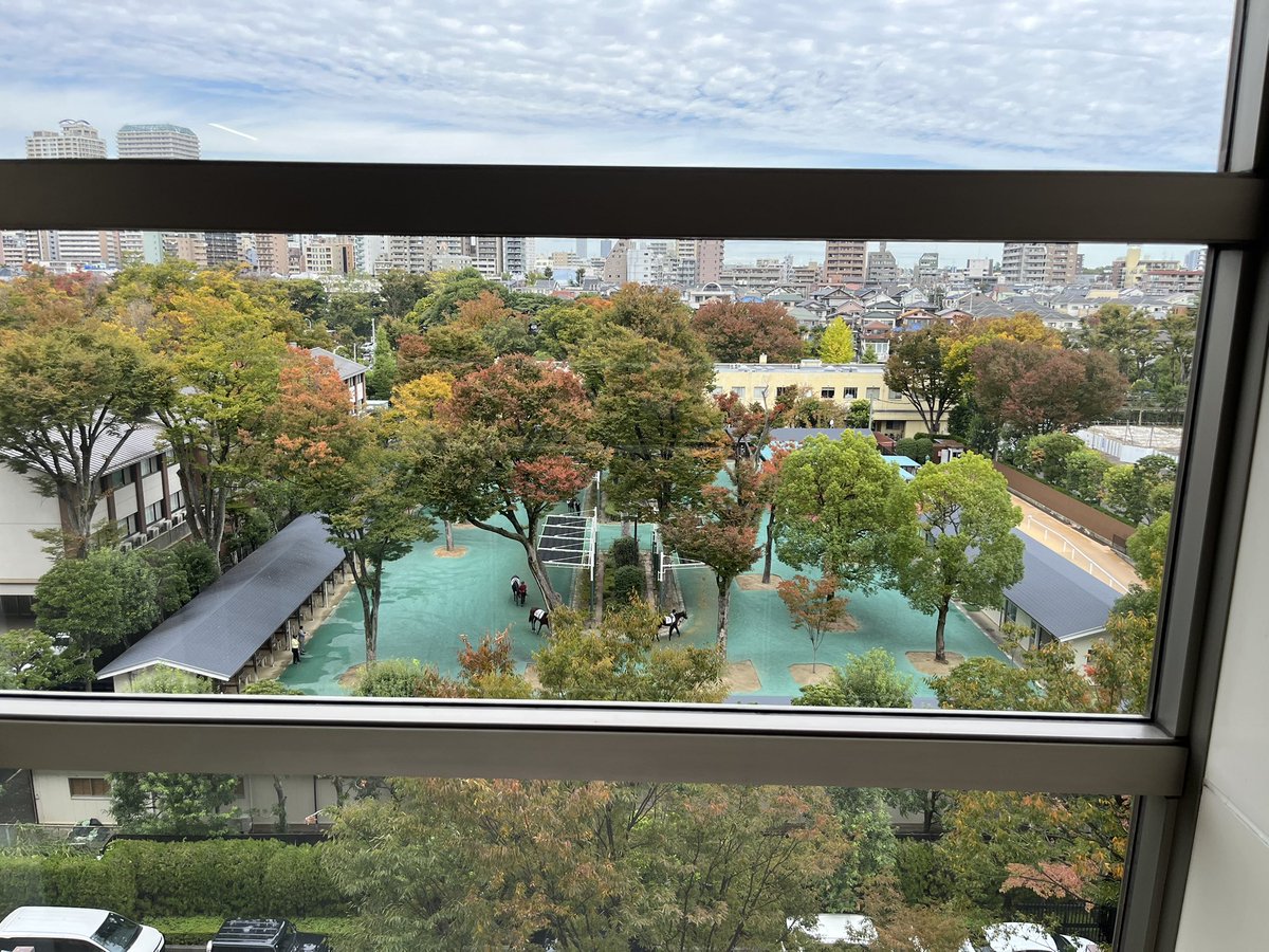 まりも様 まりも on X