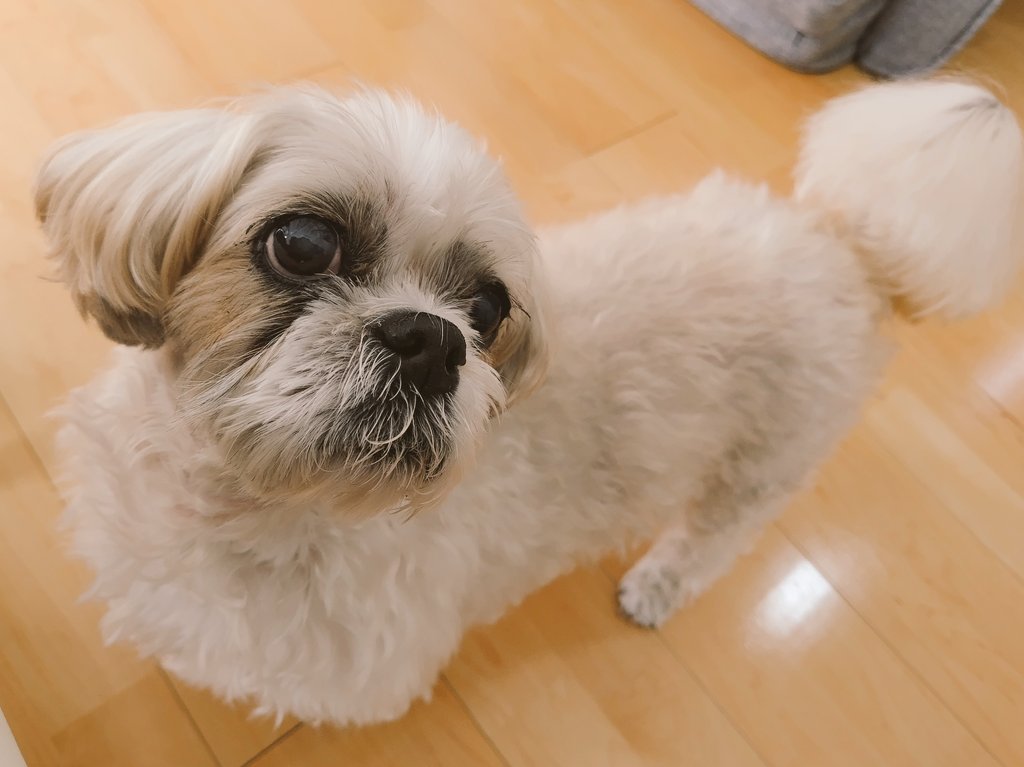 べーやん (@beyan227) / Posts / X