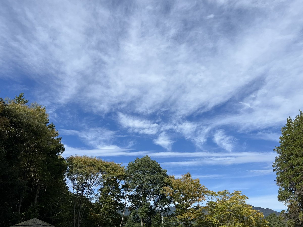 ザッパチ (@zakipan86) / Posts / X