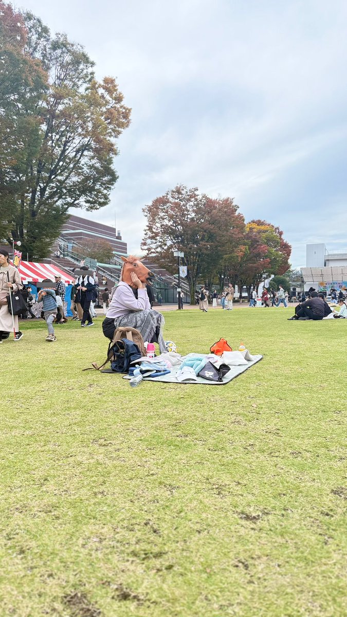 🐴田中です (@kitwell_tanaca) / Posts / X