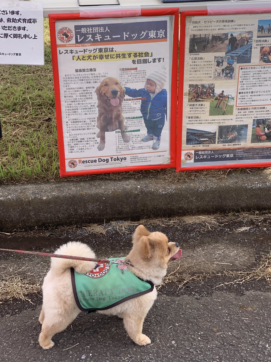 茶猫ページ a2zcat on X