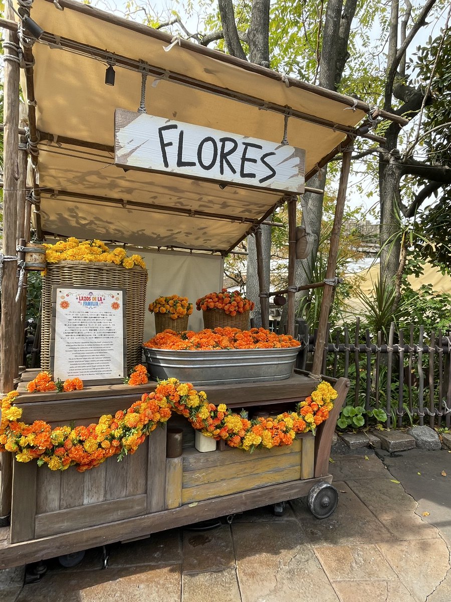 死者の日お祝いしてクリスマスの訪れを感じて来ました