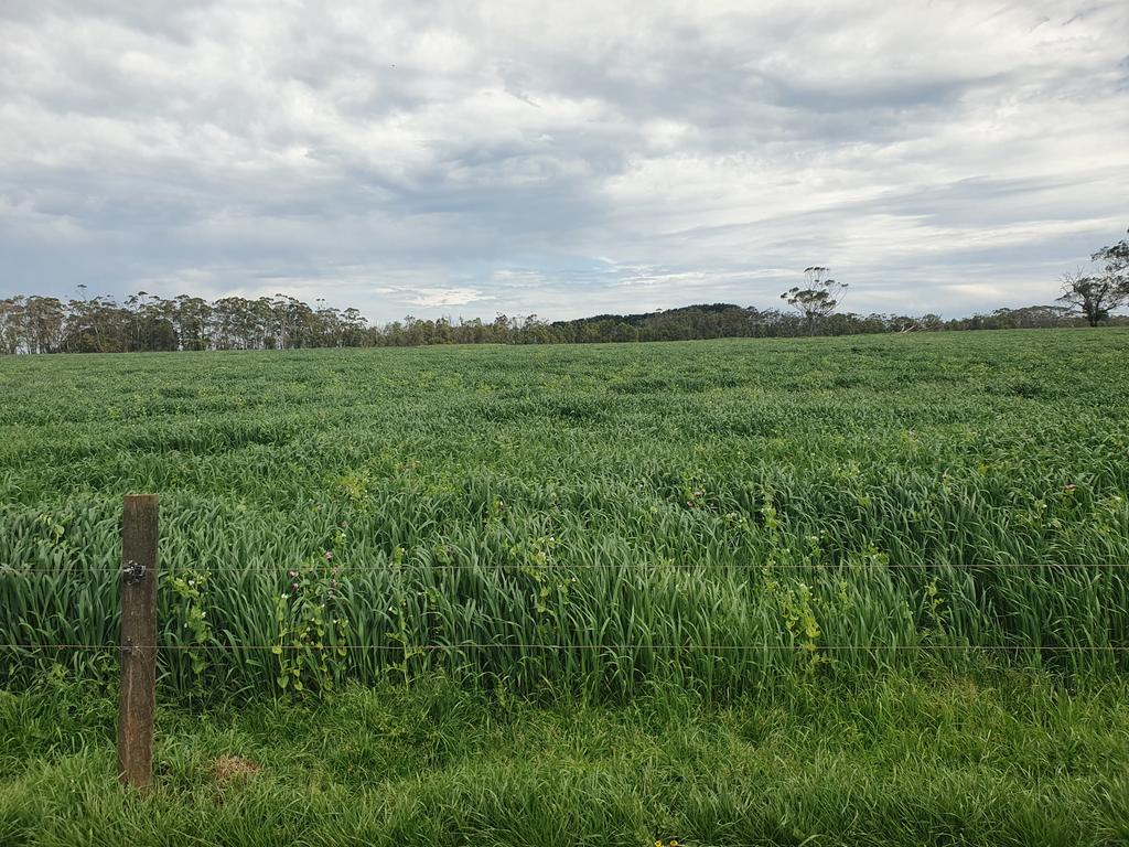 thebigperc's tweet image. 50mm incoming...  🌨🌨
Finish the peas and oats off nicely!!
An ounce of luck and we could be wet til Christmas 💪🌨🎅
#senditdown