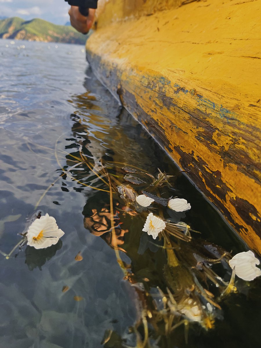 我曾心心念念的。