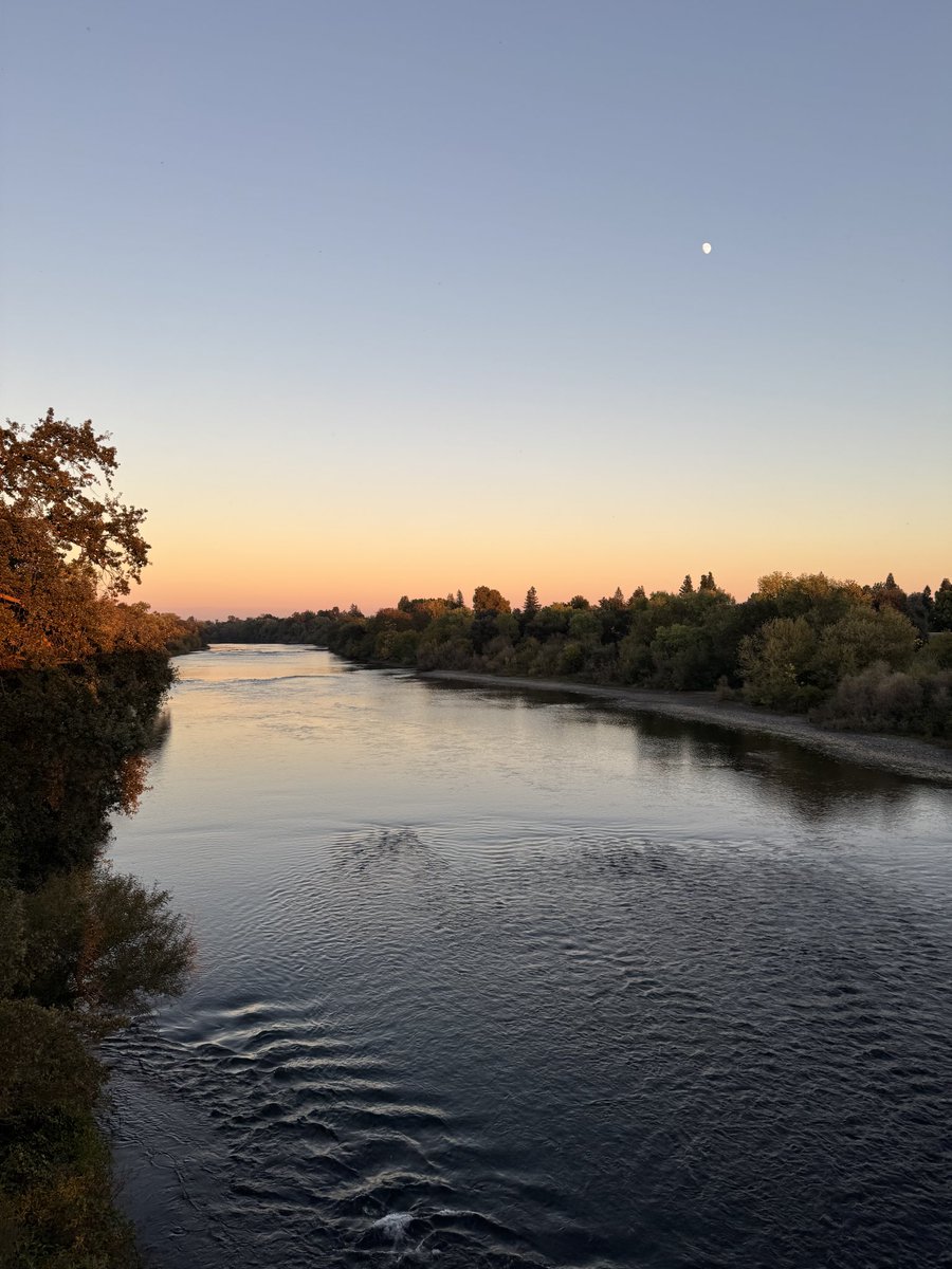 Sacramento evening walks ❤️