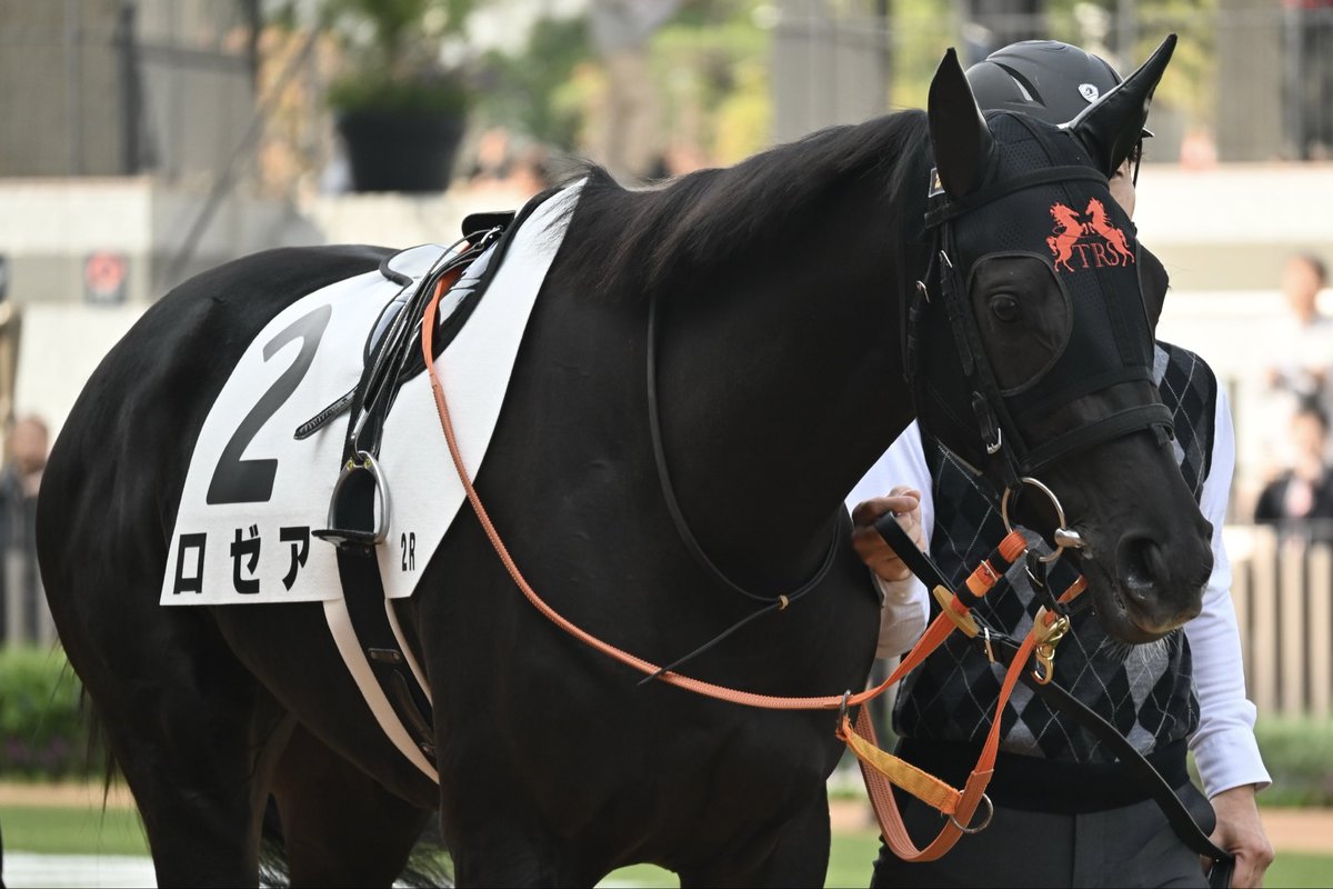 bebe（感謝） BEBE MALL OFFICIAL ONLINE STORE