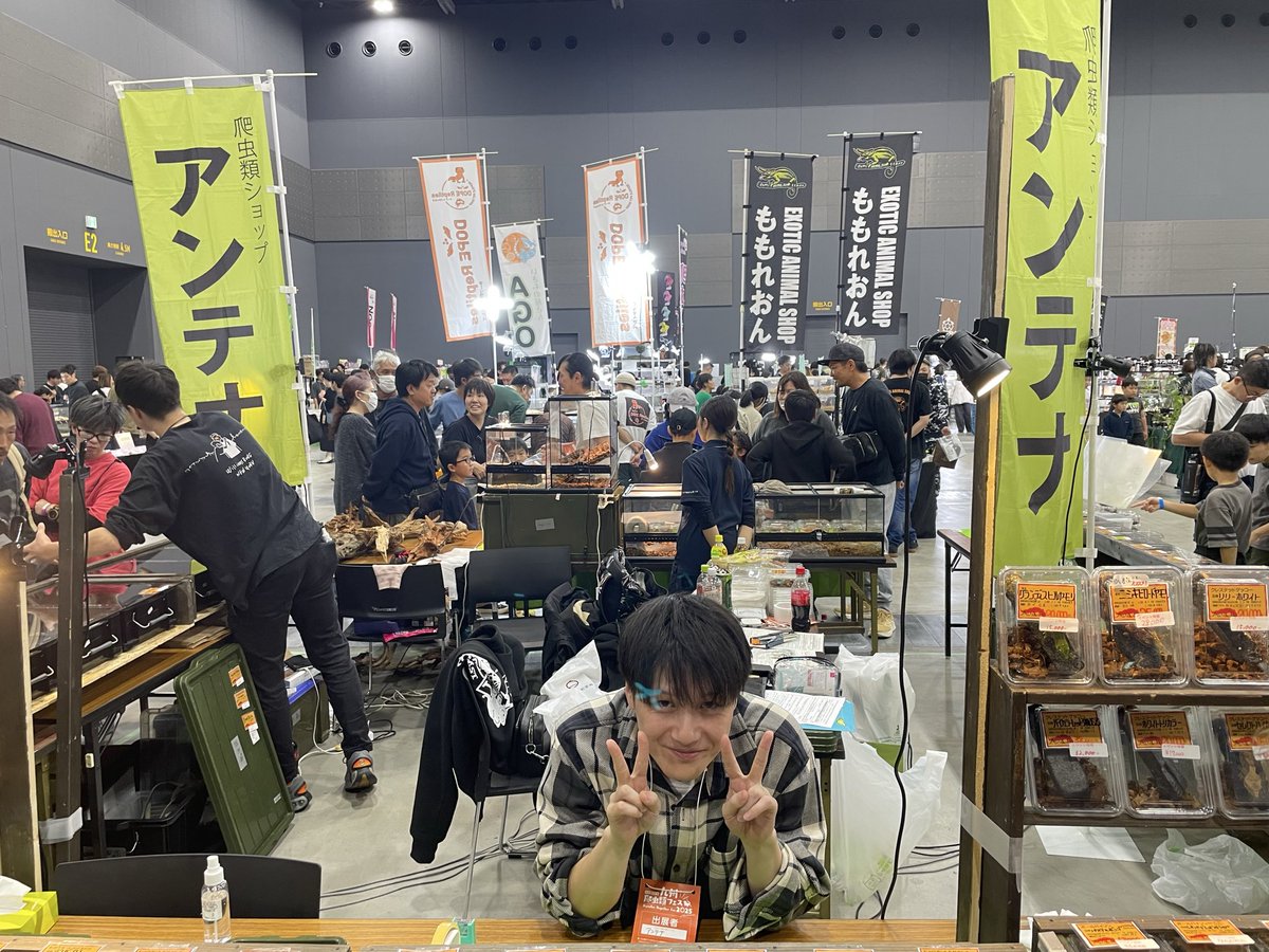 爬虫類フェス（九レプ、広レプ） tweet media