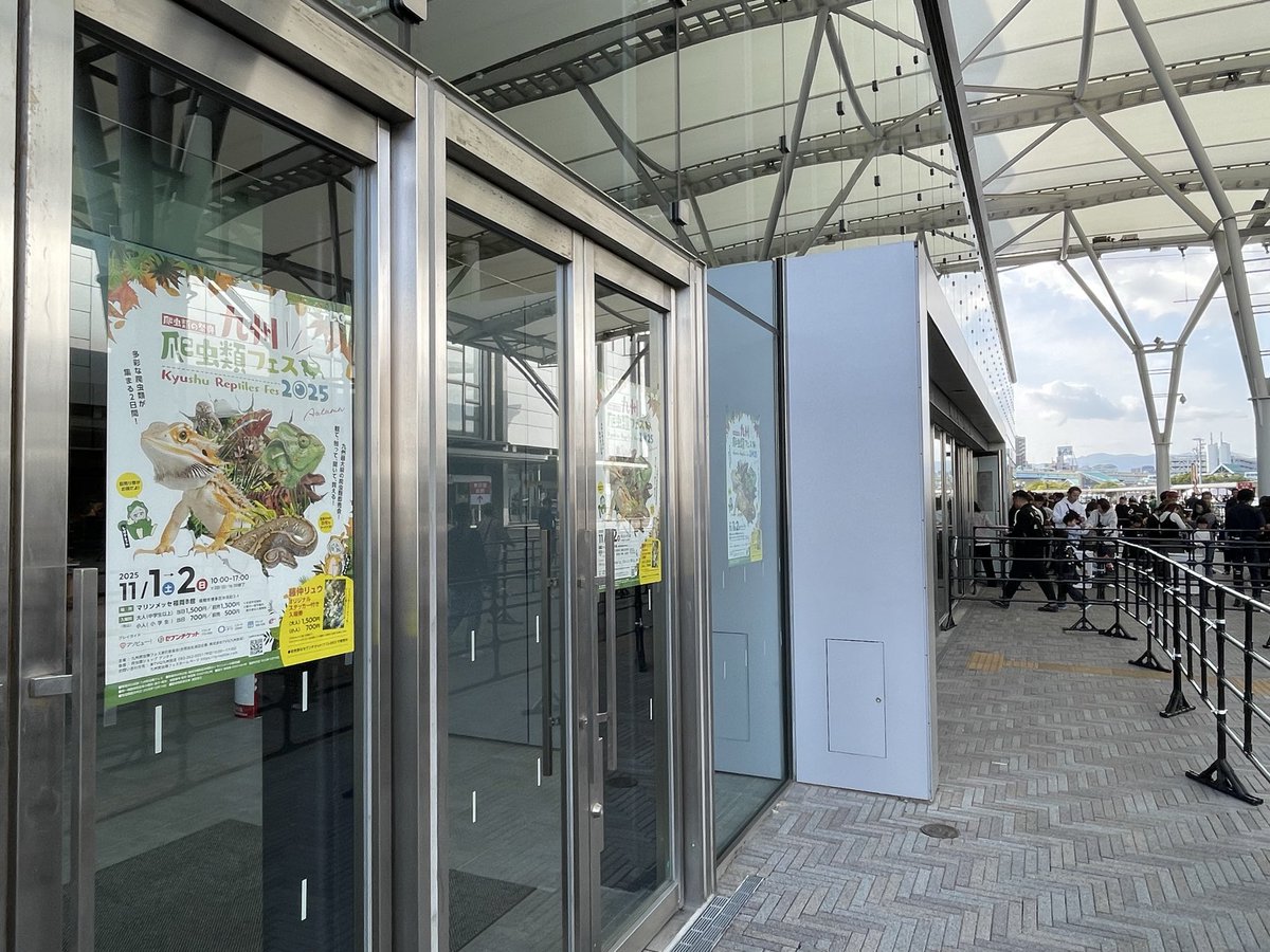 爬虫類フェス（九レプ、広レプ） tweet media