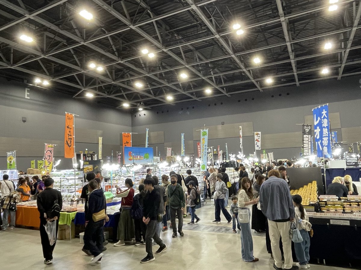 爬虫類フェス（九レプ、広レプ） tweet media