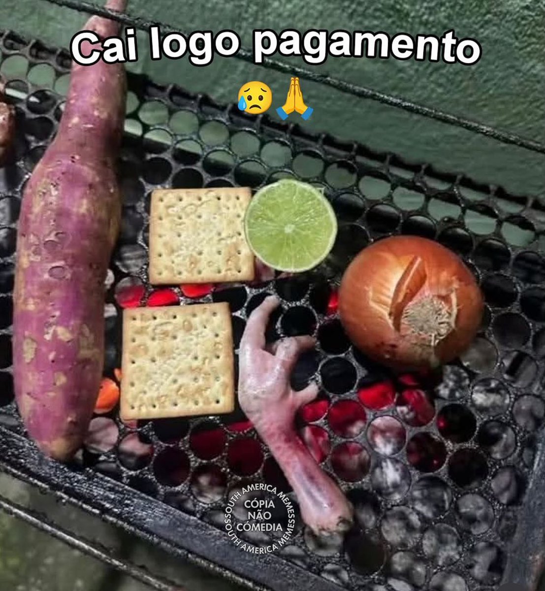 provas que os humanos deveriam ser extintos (@provasextinto) on Twitter photo 