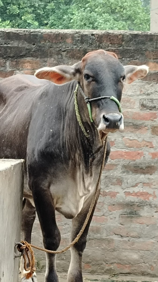 Good morning friends #เขมจิราต้องรอดseries #كاريزما76 #patlama #السعوديه_العراق #LoveYourW #GMMTVFANIVALxFirstKhaotung #FarrhanaBhatt