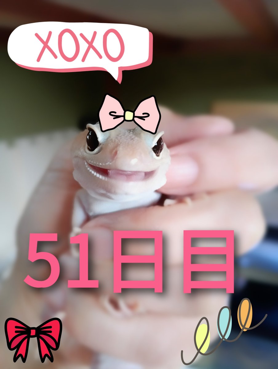 チャトランです(*^^*) PICTURESQUE ANTIQUE SNEAKER WITH CONVERSE – SHINYAKOZUKA