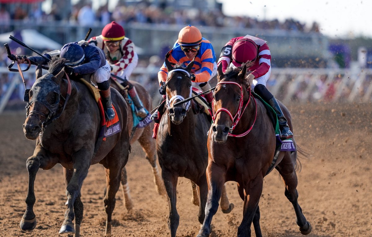 Jockey John Velazquez (Fierceness), on his trip in the Breeders’ Cup Classic:

“It’s part of the racing, you know, the rabbit is there for a reason, and he (connections) wants me to put him in the lead. I can’t go with a rabbit, head and head with a rabbit, so I sat there. And