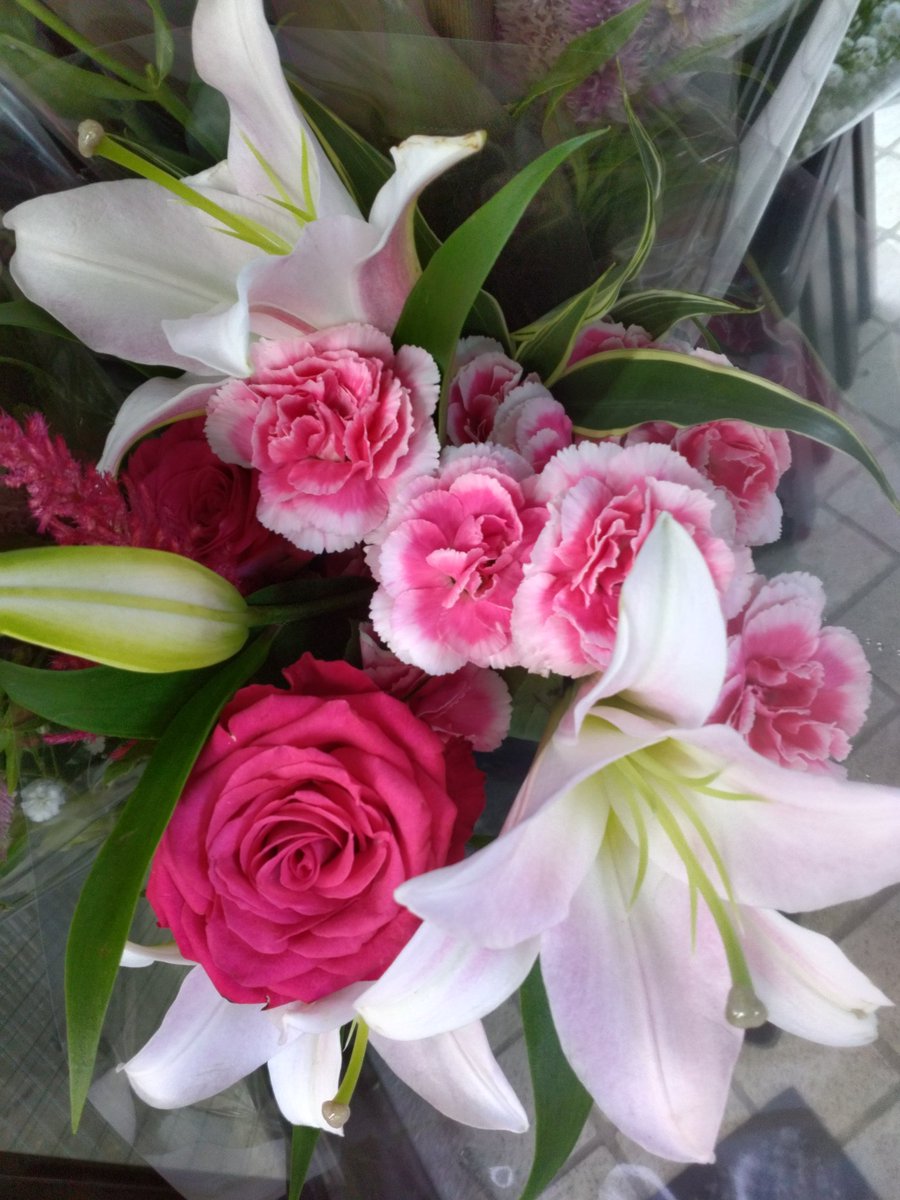 ワールドフラワー 本店（梶ヶ谷店） on X