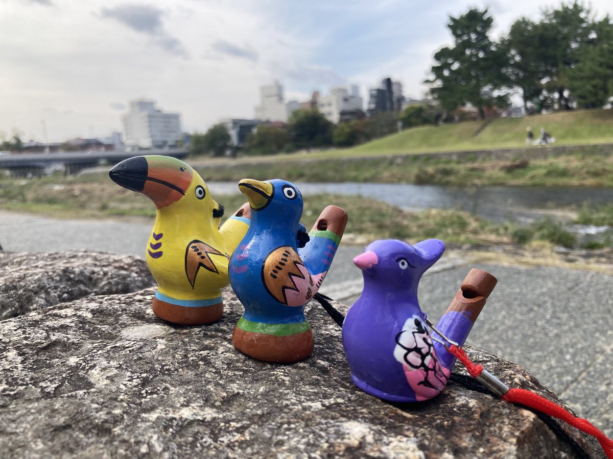 きょろ tweet media