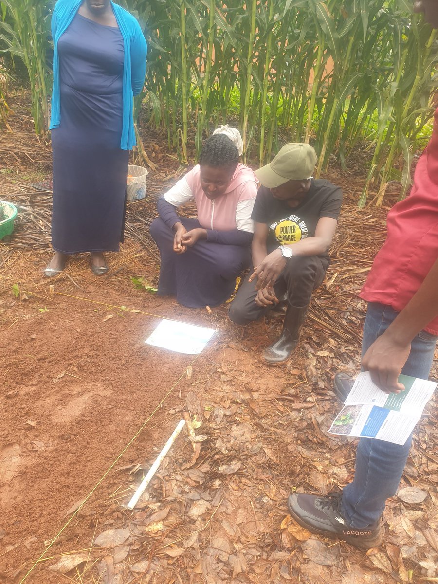 Buikwe touch staff getting skills in farming Gods way. A form of conservation farming
