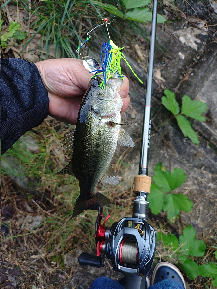 plotz_lure (@plotz_lure) / Posts / X