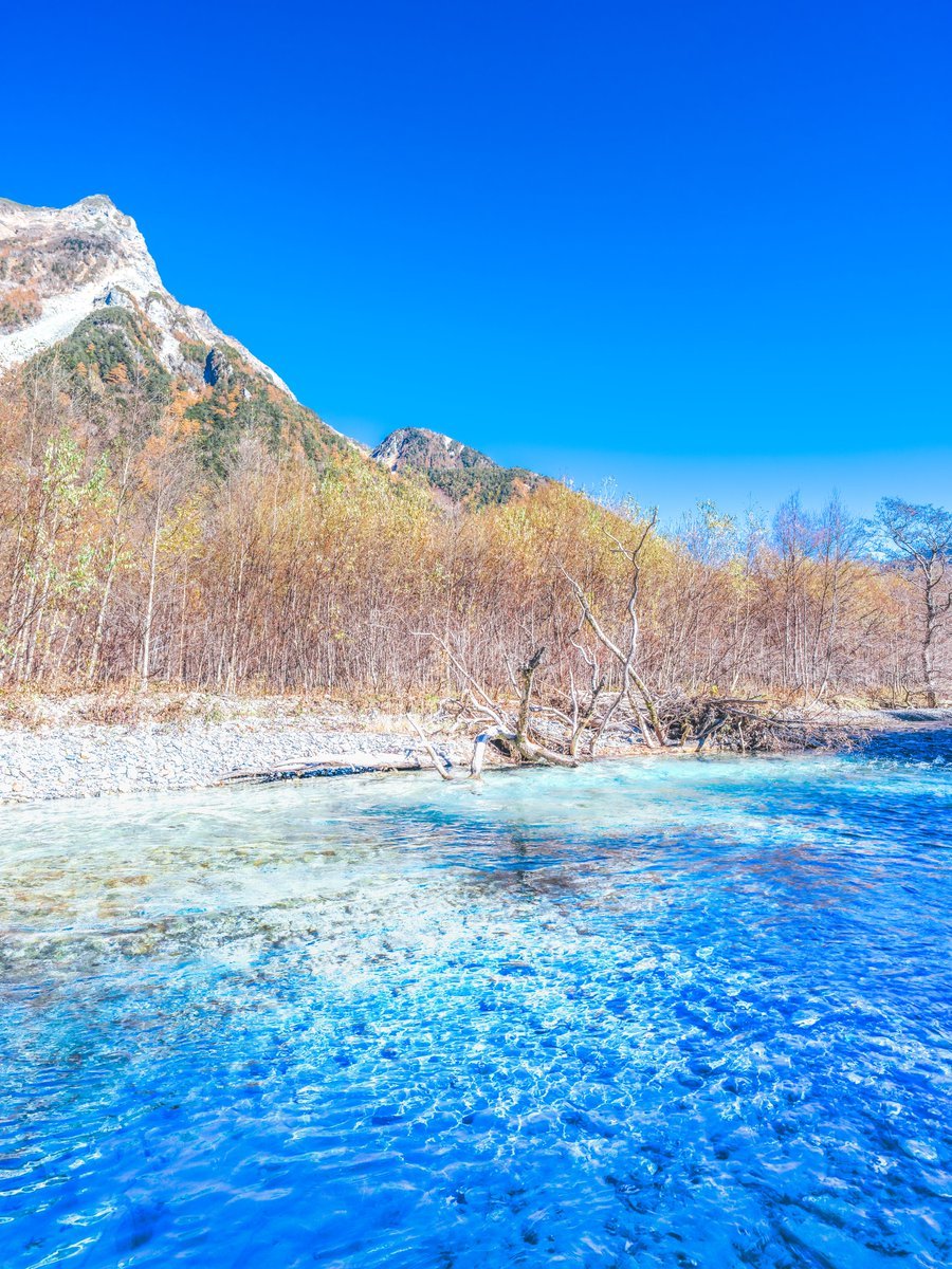 🍁🍠鉄人 ブルー🌰🌝 on X