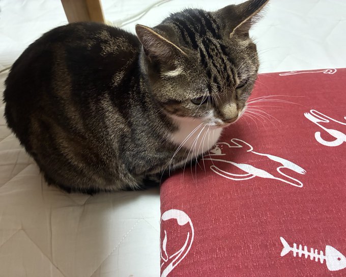 ็ซๆฐใไฝๆ
ใๅบงๅธๅฃใงใใใใ