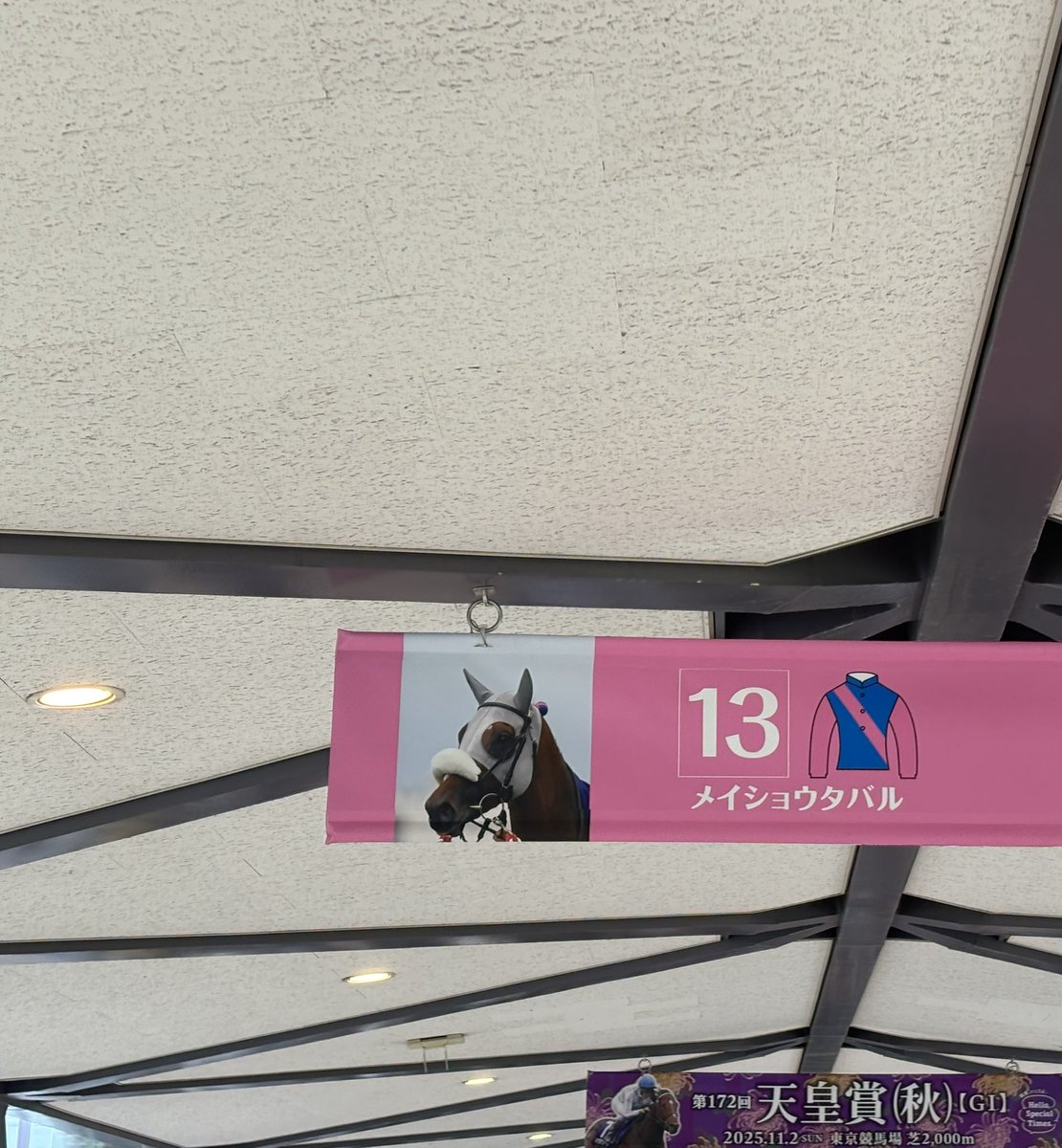 城東 甲子園旗 城東 甲子園旗 社旗・校旗・優勝旗（社旗・校旗、優勝旗、高級