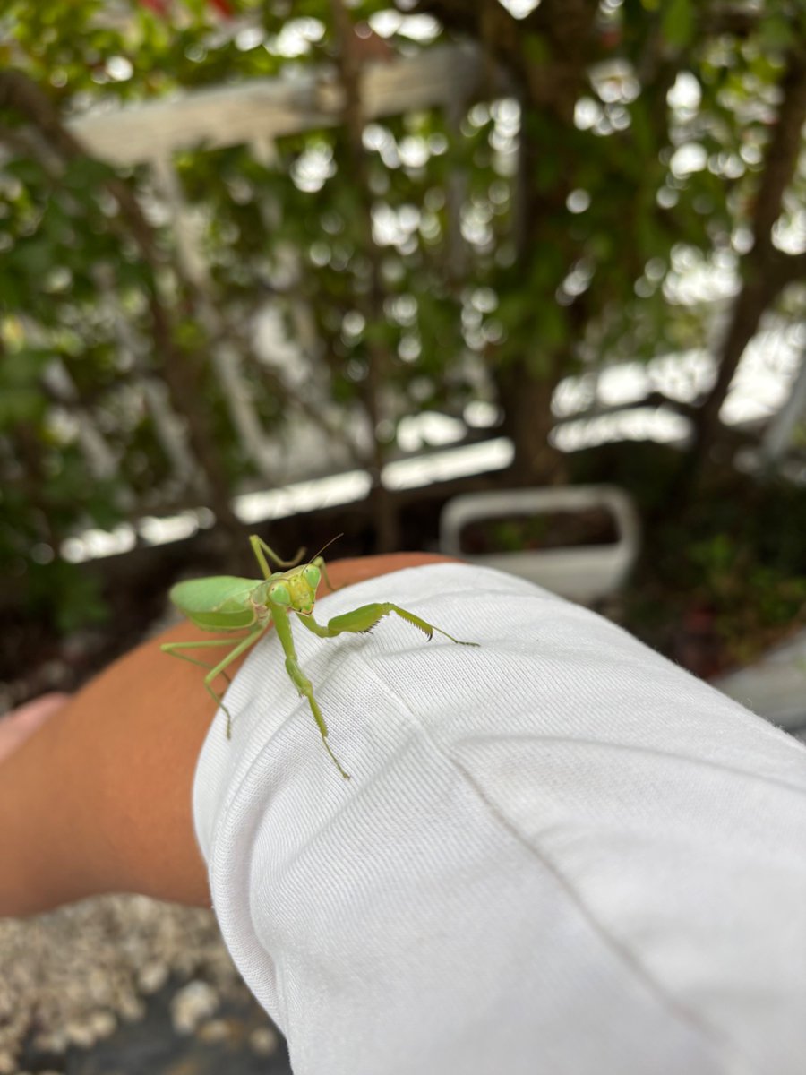 わいわいわい on X