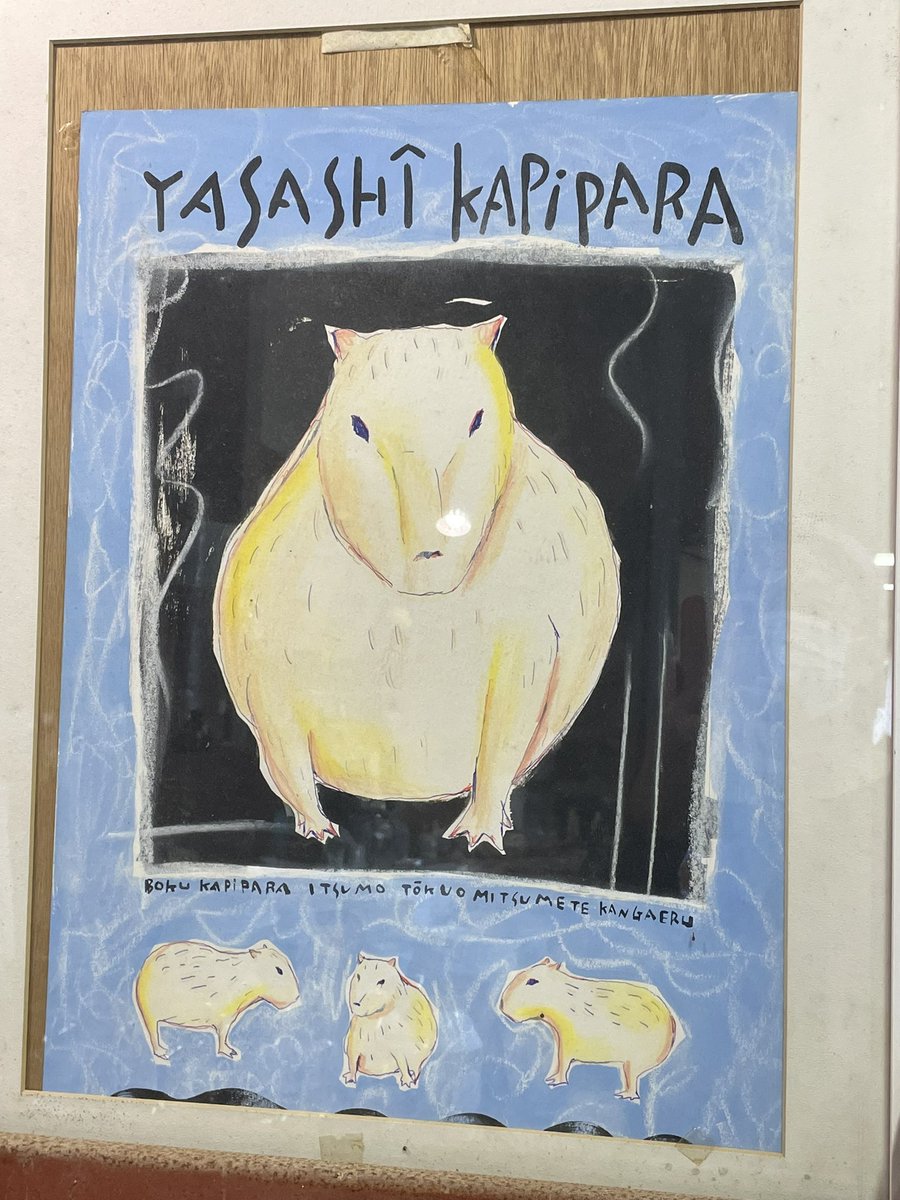 カピバラページ 安らぎのきくらげちゃんです。 1週間お疲れさまでした。 #カピ