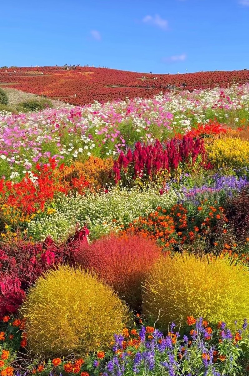 Nature is painting for us, day after day, pictures of infinite beauty if only we have the eyes to see them.

John Ruskin