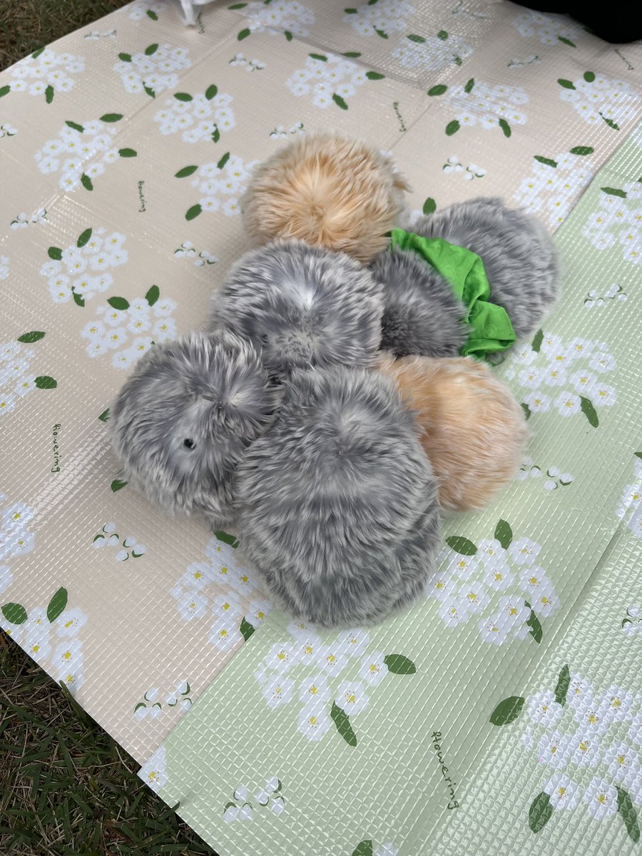 ムギ様確認用　生活雑貨 むぎむぎ様 キッチン・日用品・その他 麦様 リクエスト 10点