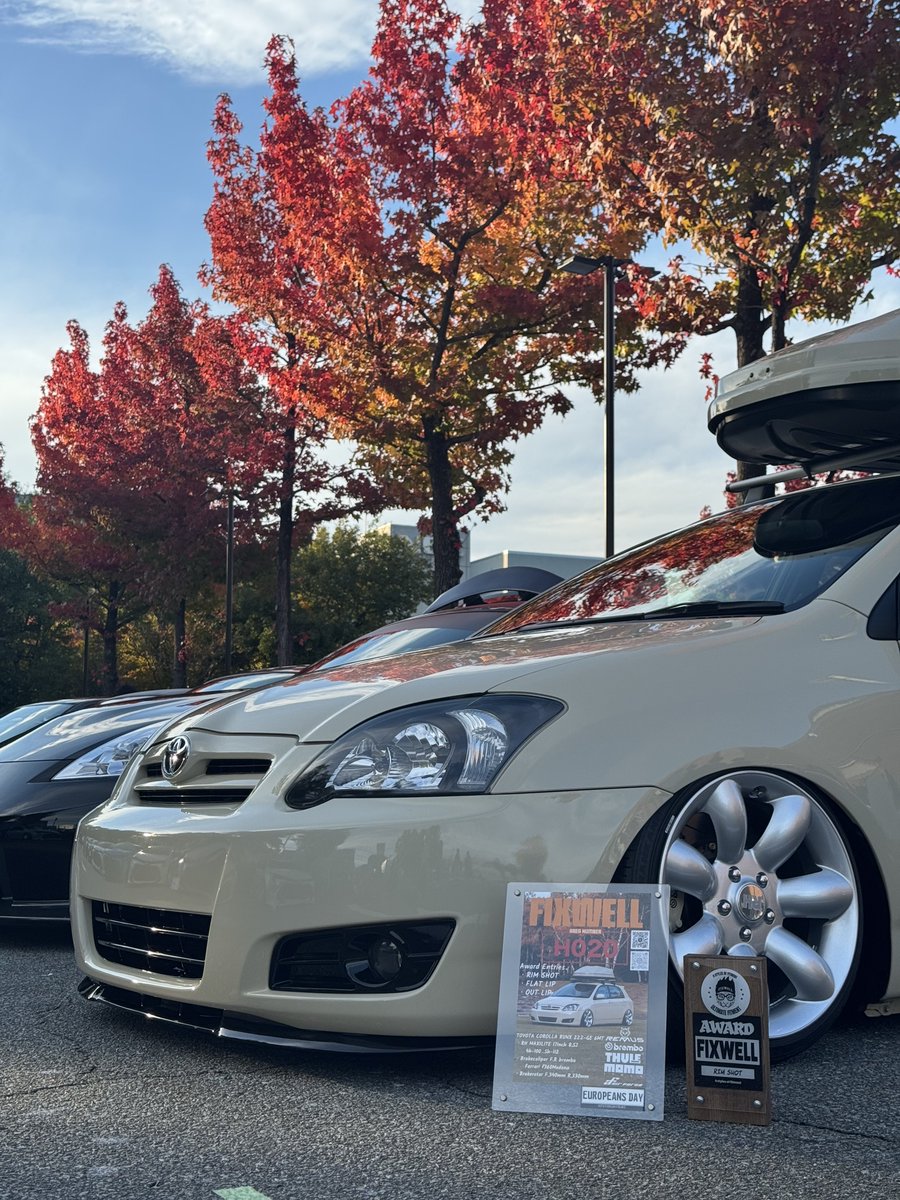 きなこ (@runxta3) / Posts / X