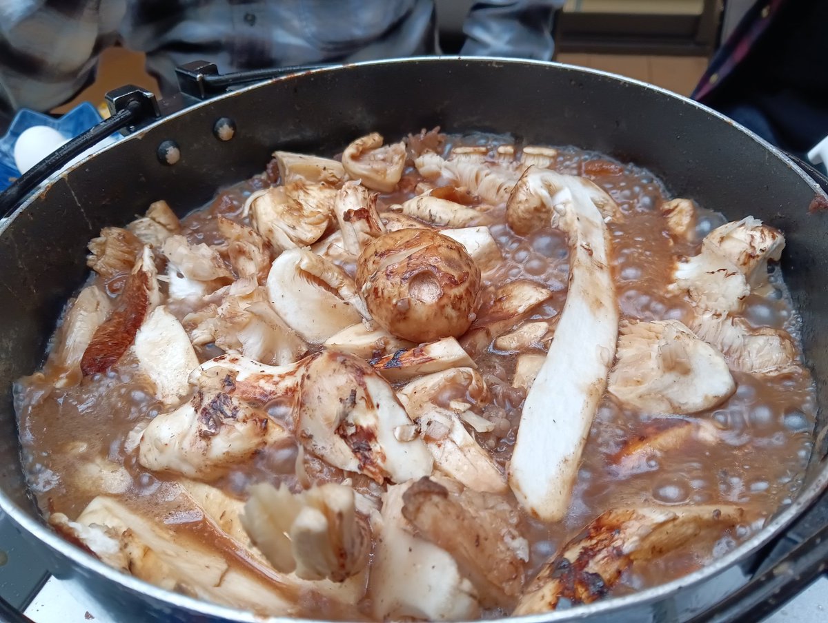 新鮮マツタケ FD松茸 AS1 30g 冷蔵 フリーズドライまつたけ 乾燥マツタケ 土瓶