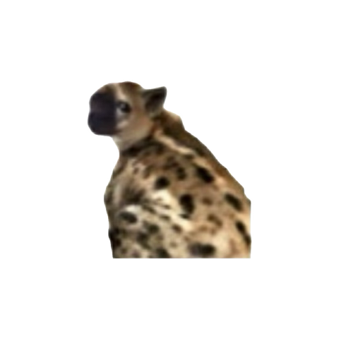 I’m a gas station hot dog in bed
Rotating and turning