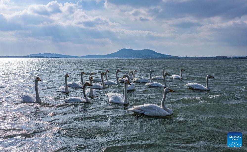 Discover Shandong tweet media