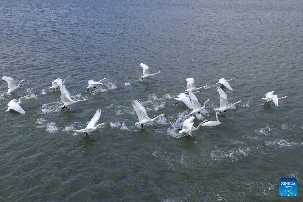 Discover Shandong tweet media