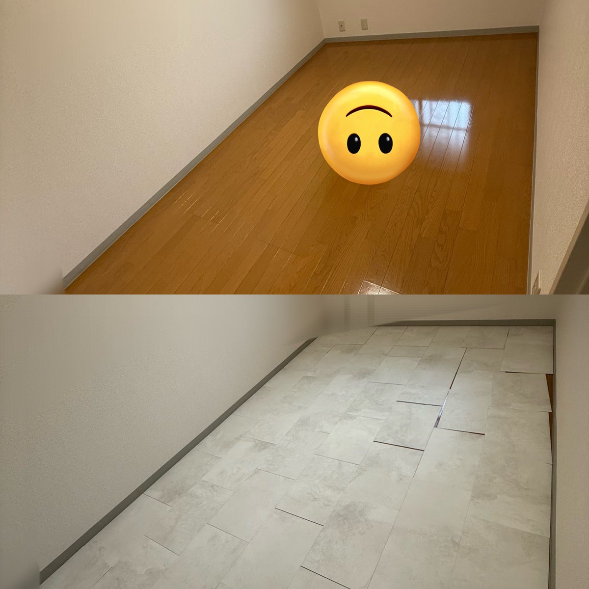 ASUKA🐾あすか on X